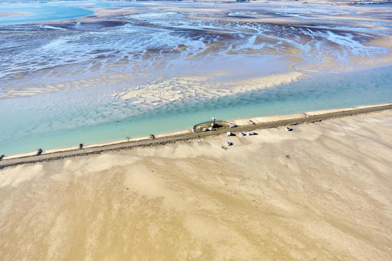 فيلا Le Parc Des Mimosas نوارموتيير أون ليل المظهر الخارجي الصورة
